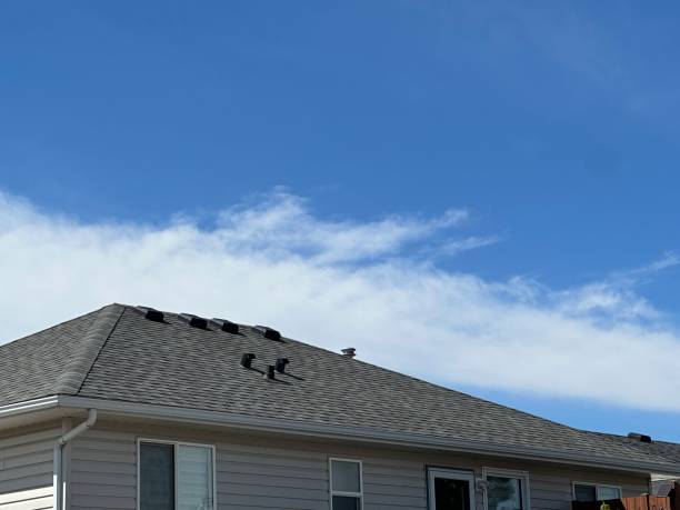 Best Cold Roofs  in Sikeston, MO